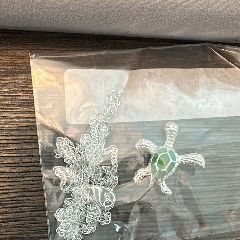 Silver Turtle Pendant Necklace